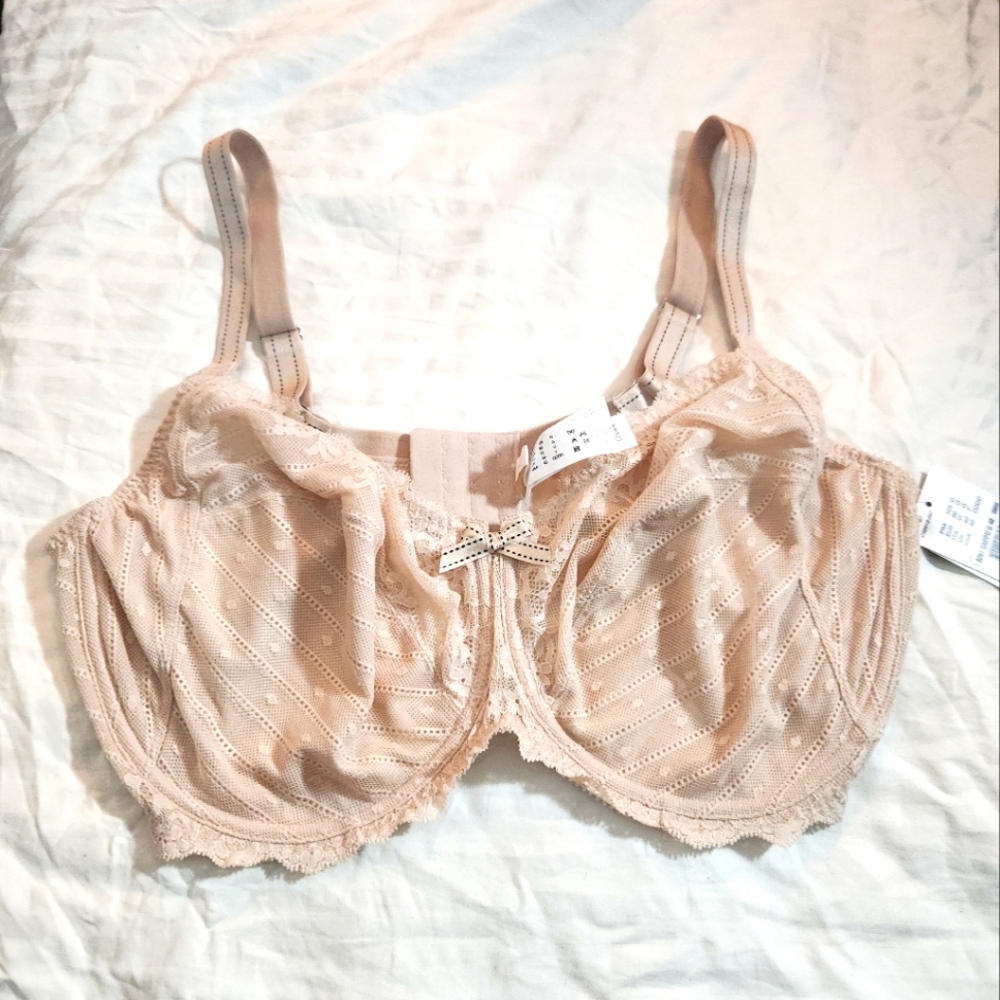CHANTELLE Rive Bra NWT 40G